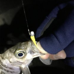 2019 メバリング 2nd