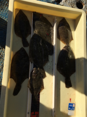 最後の釣行かな！