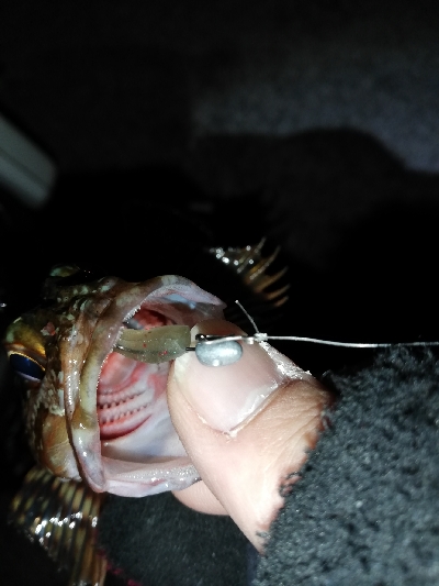 連チャンメバリング