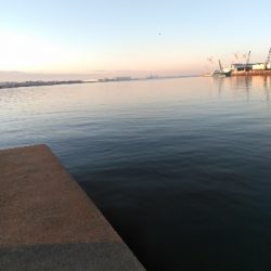 早起きは一尾の得?