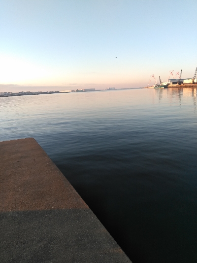 早起きは一尾の得?