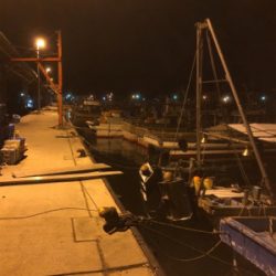 チビメバルばかり