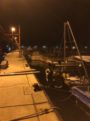 チビメバルばかり