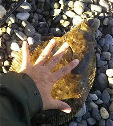 大遠征のサーフゲーム