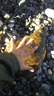 大遠征のサーフゲーム