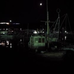 初釣り メバリング