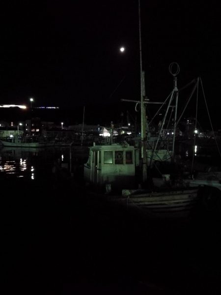 初釣り メバリング