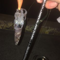 二見漁港ヒイカ☆GUNNING-STYLE