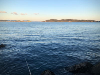 元旦のリベンジ。今年の初青物