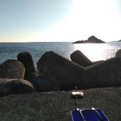 穴の中に何かが居る!