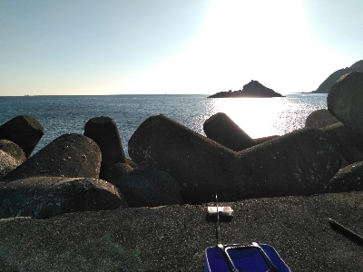 穴の中に何かが居る!