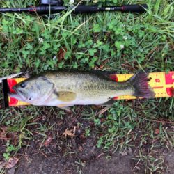 日帰り 河口湖釣行