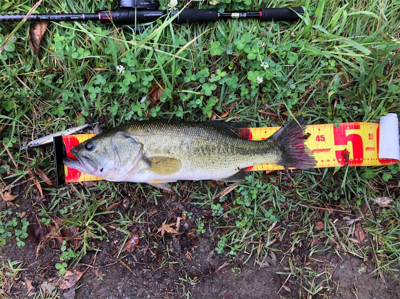 日帰り 河口湖釣行