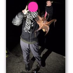 またまた。。。。