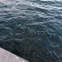 デイロックゲーム