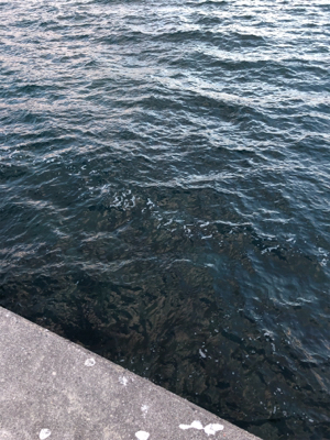 デイロックゲーム