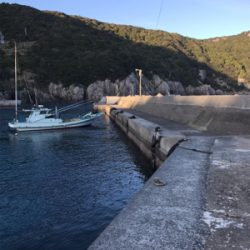 釣りの聖地鵜来島遠征釣行