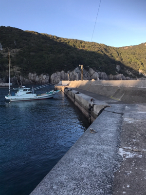釣りの聖地鵜来島遠征釣行