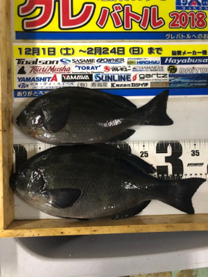 須江崎地磯釣行