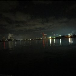 釣果は上向き？