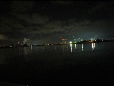 釣果は上向き？