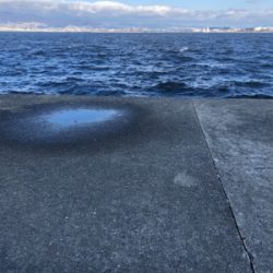 初釣りはまさかの…