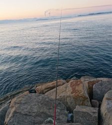 カレイをねらって