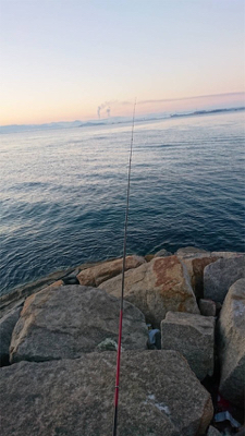 カレイをねらって