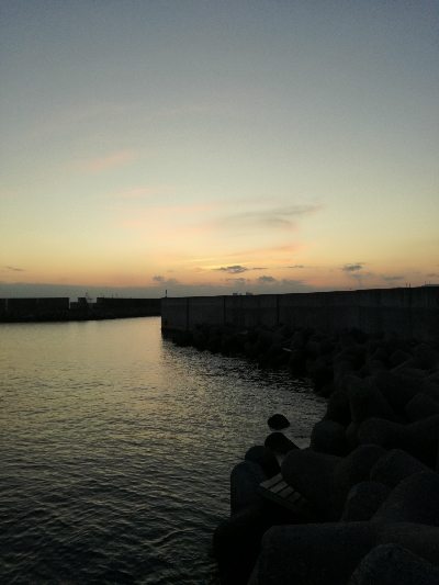 タチ終わりかな