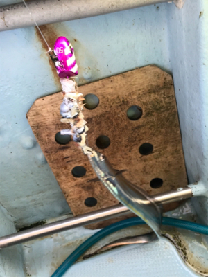 太刀魚テンヤ  洲本沖