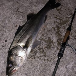 ついにアミパターン攻略