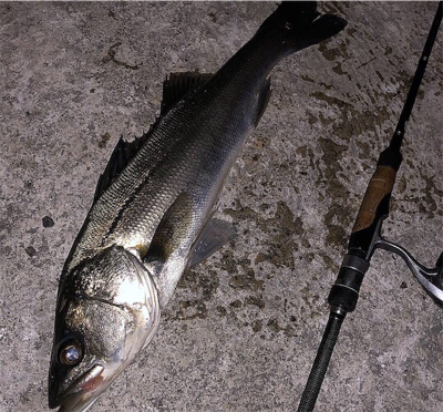 ついにアミパターン攻略