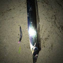 居ったら釣れます!