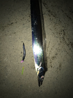 居ったら釣れます！