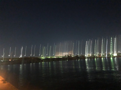 初釣り!初ヒイカ!