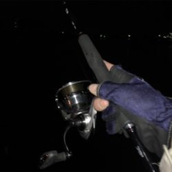 ご無沙汰しております