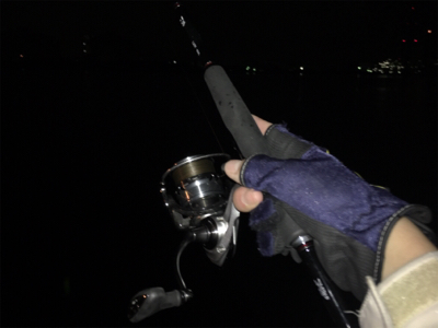 ご無沙汰しております