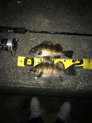 フロートメバリング