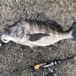 釣りしまくった