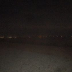 プラッキングメバル