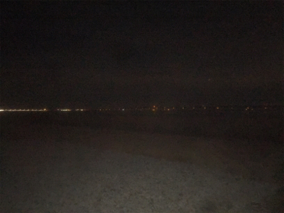 プラッキングメバル