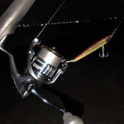 やっぱりシンペン