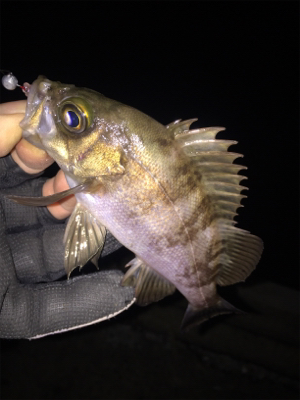 ナイトメバリング