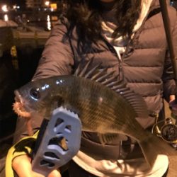 御所浦ライトゲーム②