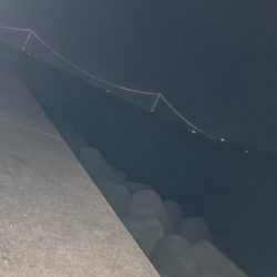 なんとか、、、