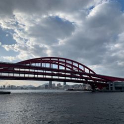 渋くなってきたデイゲームシーバス！