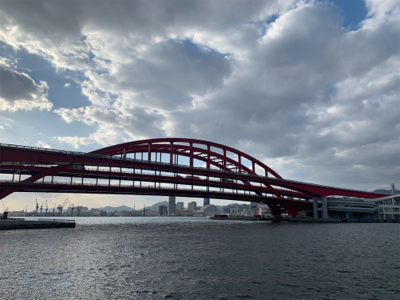 渋くなってきたデイゲームシーバス！