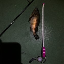 御所浦ライトゲーム最終日