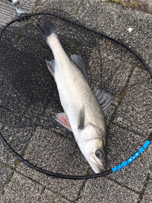 マルチヒットにロスト地獄