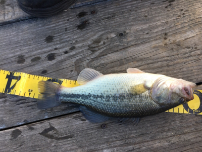 極寒のバスフィッシング